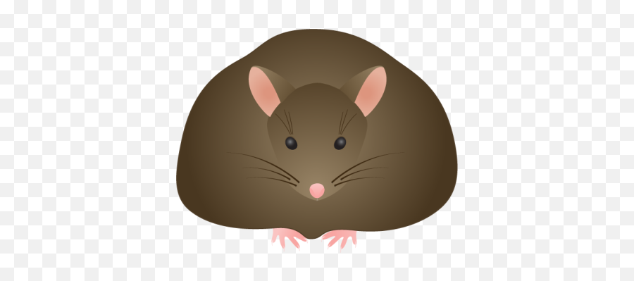 Fat Png And Vectors For Free Download - Rat Gif Transparent Background Emoji,Mouse Rabbit Hamster Emoji