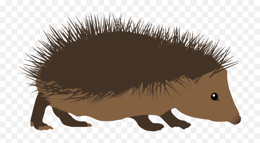 Clipart Hedgehog - Wikiclipart Épines Animal Emoji,Hedgehog Emoji