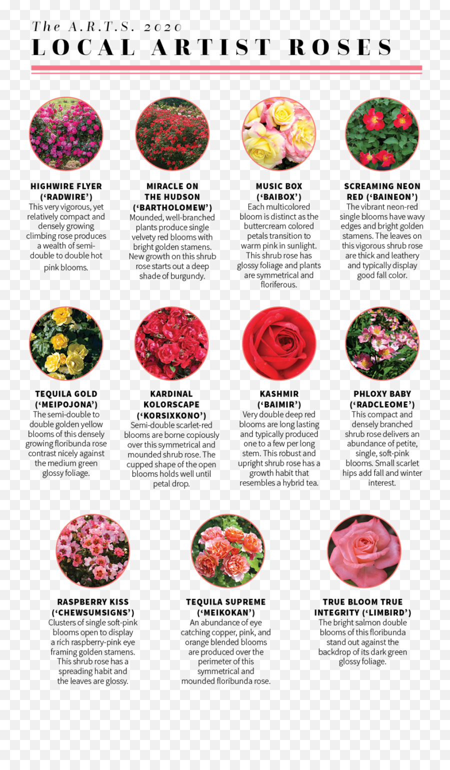 Garden Center Magazine - June 2019 A Clear Picture Circle Emoji,Roses Emoticon