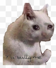 Download Sad Cat Pictures Meme PNG u0026 GIF BASE - Gato Png Emoji