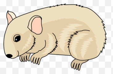 Hamster Clipart - Soft Emoji,Hamster Emoji