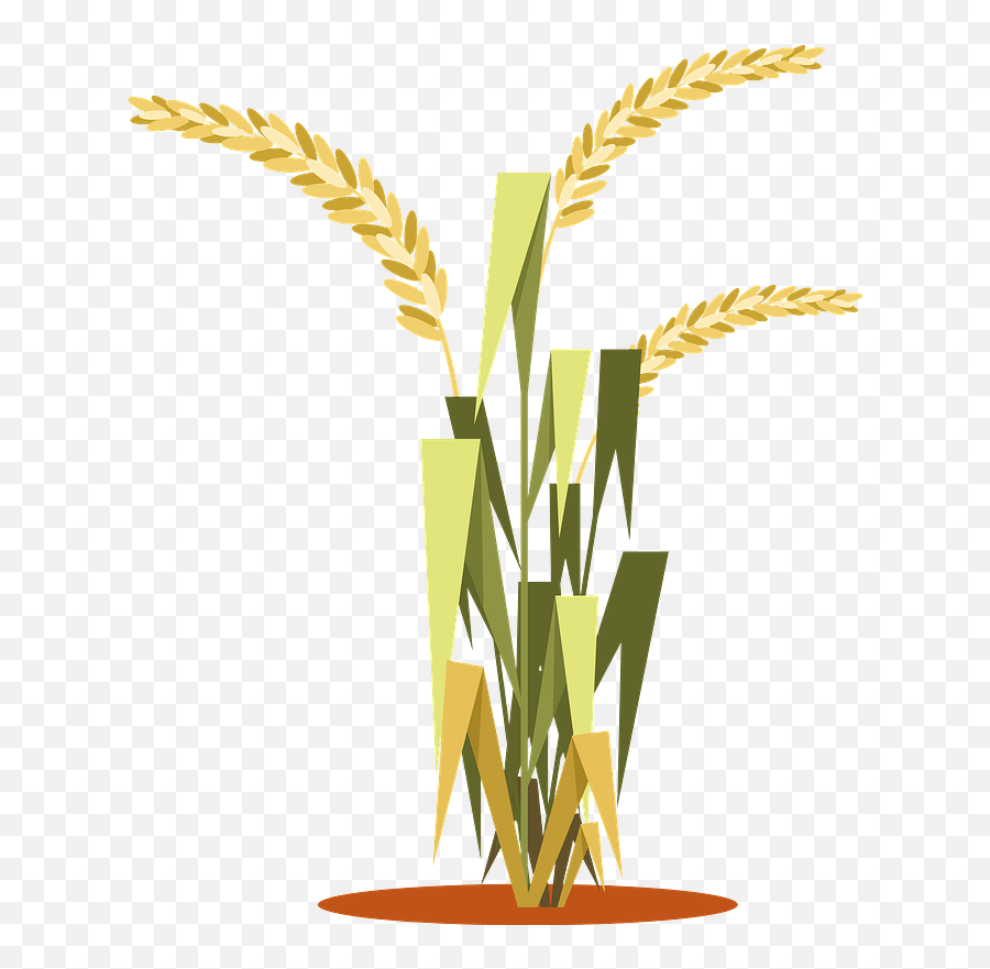 Rice Plant Clipart - Rice Plant Clip Art Emoji,Wheat Emoji