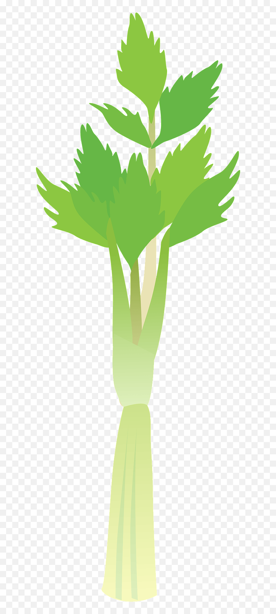 Celery Stalk Clipart Free Download Transparent Png Creazilla - Fresh Emoji,Asparagus Emoji
