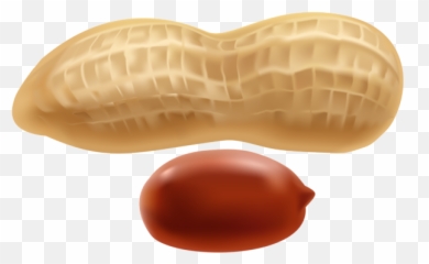 Peanut Clip Art Gallery Yopriceville High Quality Images Png - Peanuts Png Clip Art Emoji,Peanut Emoji