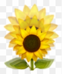 Sunflower Emoji Yellow Sunflowersgalore Freetoedit - Portadas De Cuadernos Con Girasoles,Sunflower Emoji
