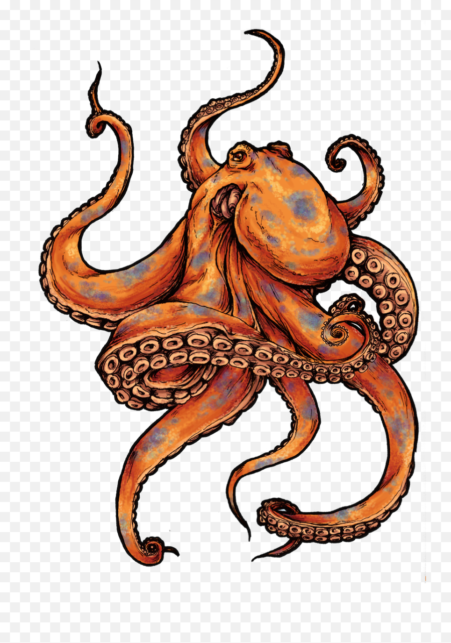 Download Octopus Picture Hq Png Image - Colored Octopus Tattoo Design Emoji,Octopus Emoji Android