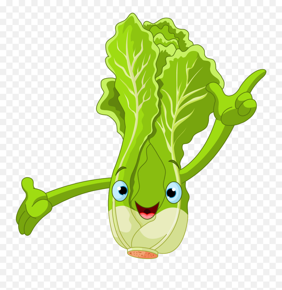 Lettuce Clipart Green Foods Lettuce - Lettuce Clip Art Emoji,Lettuce Emoji