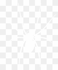 Pest Control Concord Nc - Johns Hopkins University Logo White Emoji,Laying Down Text Emoji