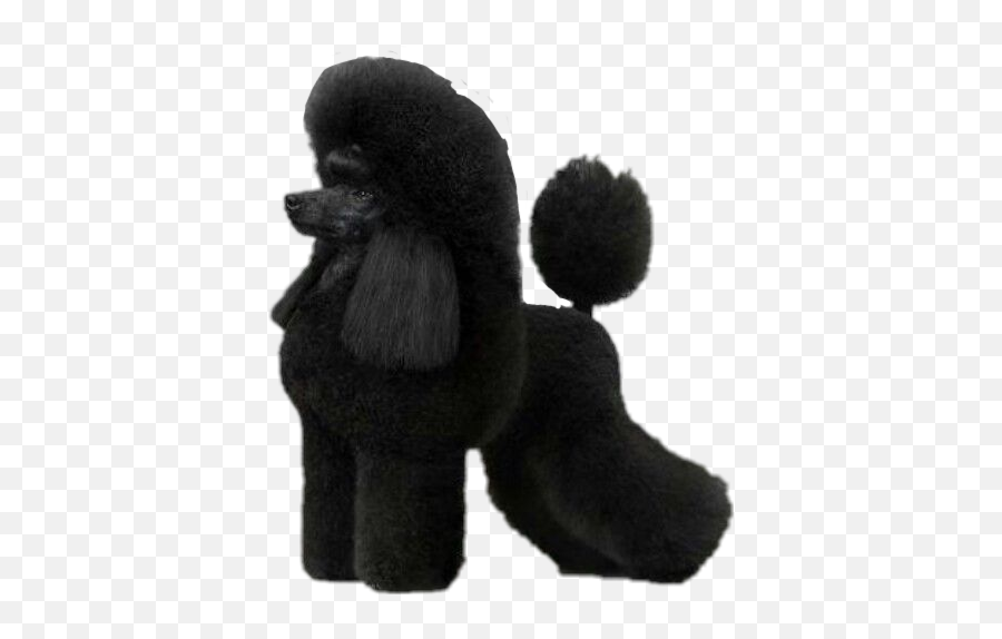 Poodle Sticker - Soft Emoji,Poodle Emoji