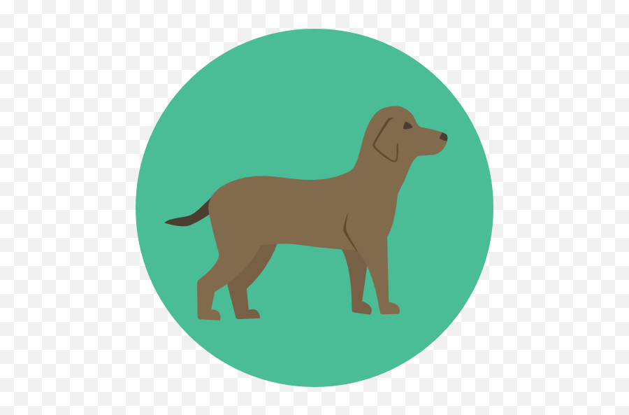 Golden Retriever - Free Icon Library Dog Flat Icon Png Emoji,Golden Gate Bridge Emoji
