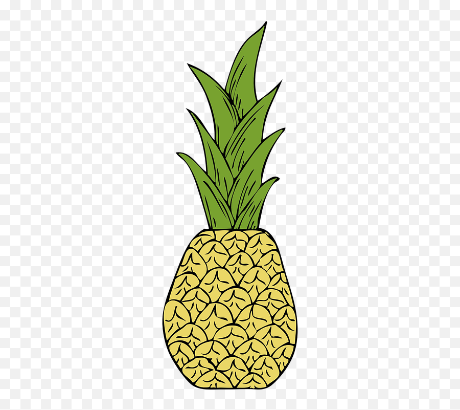 Free Pineapple Fruit Illustrations - Pineapple Png Illustration Emoji,Proud Emoticon