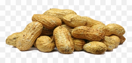 Peanuts Clipart Peanut Plant Peanuts Peanut Plant - Transparent Background Peanuts Png Emoji,Peanut Emoji