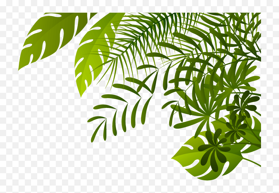 Free Jungle Plants Png Download Free - Transparent Background Jungle Leaves Emoji,Jungle Emoji