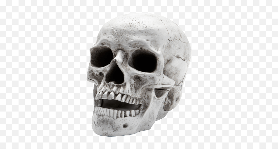 Skull Emoji Sticker Transparent Png - Skeleton Head Transparent,Man Skull Emoji