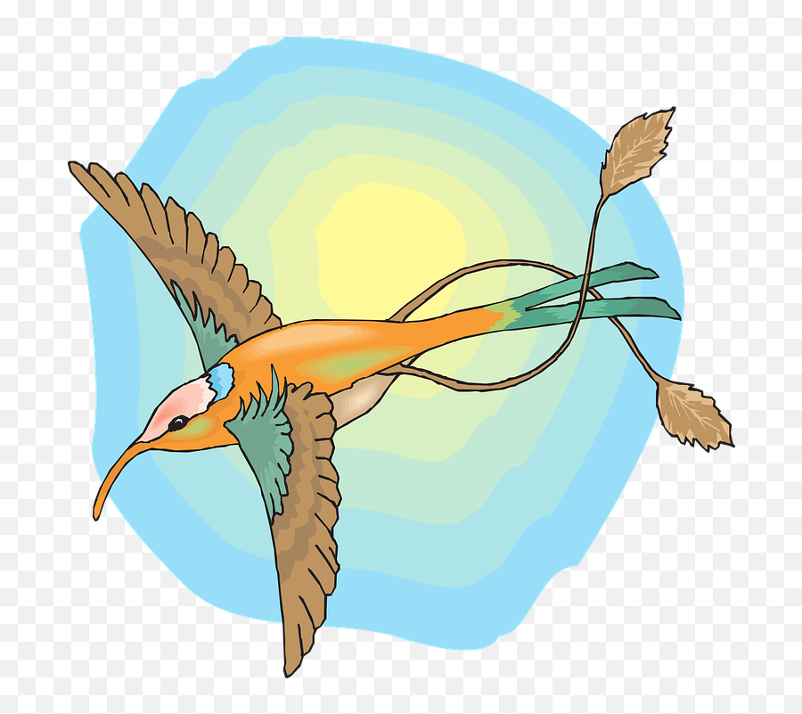 Free Hummingbird Bird Illustrations - Hummingbird Emoji,Hummingbird Emoticon