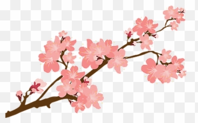 Sakura Sakuras Flower Flowers Cherry - Transparent Background Cherry Blossom Clipart Emoji,Sakura Blossom Emoji