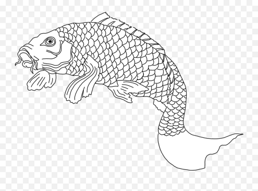 Colorful Koi Fish Drawings 1570881 - Png Images Pngio Png Fish Drawing Emoji,Thumbs Up Emoji Japanese