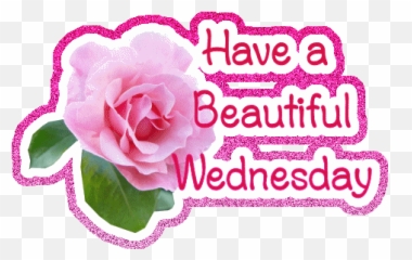 Happy Hump Day Wishes Cards Messages - Good Morning Wednesday Emoji