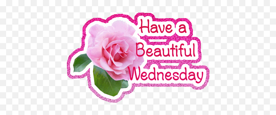 Happy Hump Day Wishes Cards Messages - Good Morning Wednesday Emoji,Hump Day Emoticon