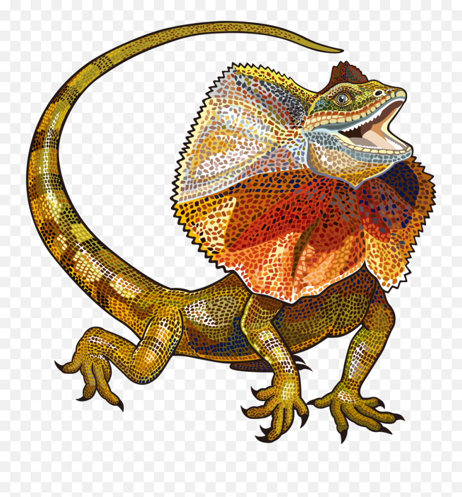 Vector Free Download Image Clipart Png - Clip Art Frill Neck Lizard Emoji,Lizard Emoticon