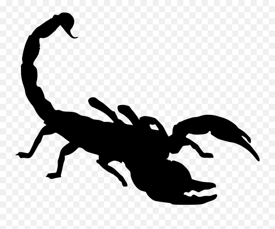 Drawing Scorpions Predator Picture - Scorpion Clip Art Emoji,Scorpion Emoji