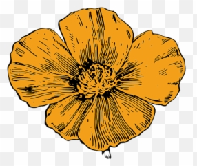 200 Free Yellow Flowers U0026 Flower Vectors - Pixabay California Poppy Drawing Emoji,Hibiscus Emoji
