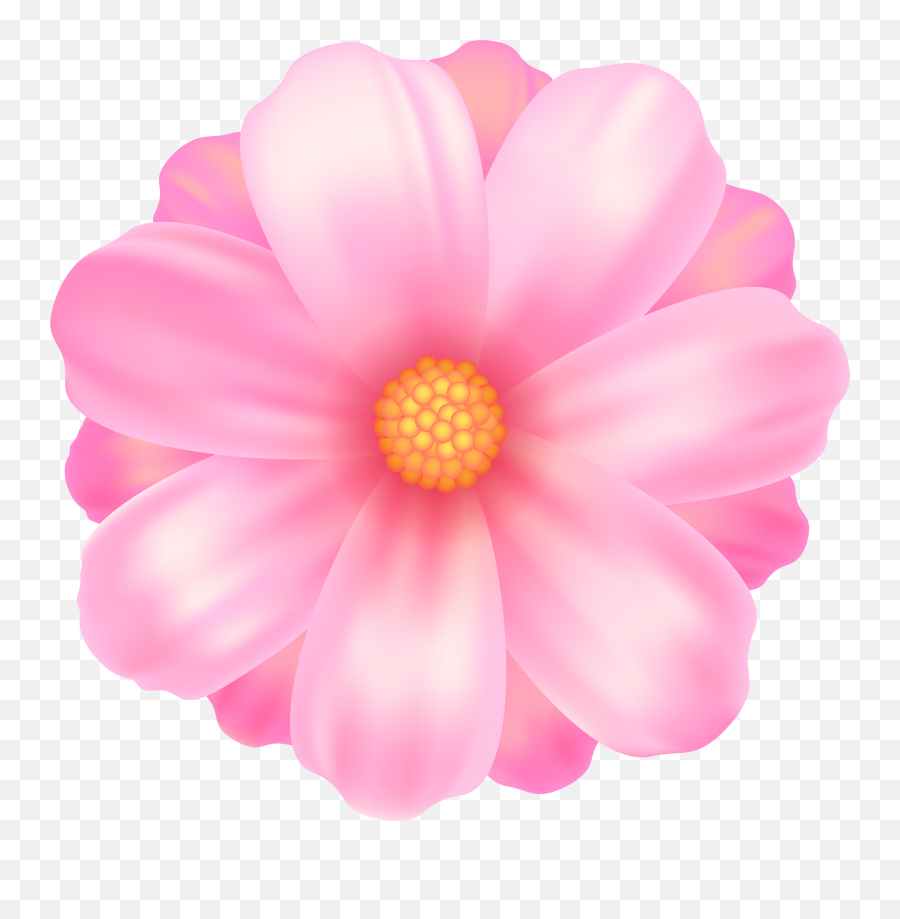 Pink Flower Transparent U0026 Png Clipart Free Download - Ywd Transparent Background Pink Flower Clipart Emoji,Pink Flower Emoji