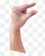 Largest Collection of Free - toEdit dedos Stickers PicsArt Sign Language Emoji